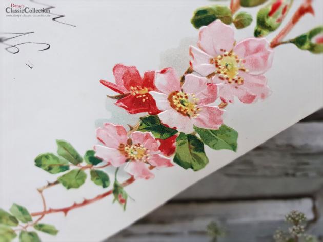 Antiker Schmuckbrief ~ Geprägt und lithografiert ~ Brief von Tochter an Vater ~ 1909 ~ mit Rosen umrahmt ~ hw3959b2