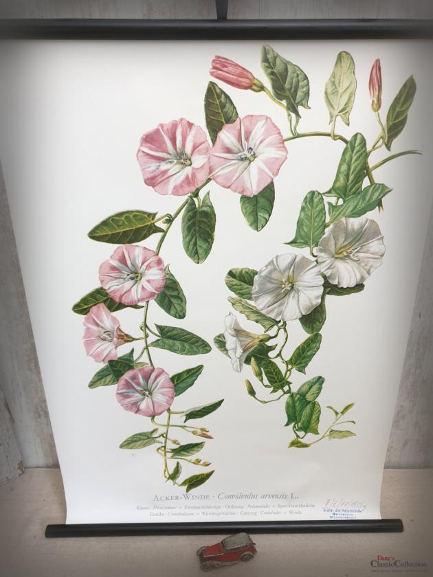 VERKAUFT ! Lehrkarte 