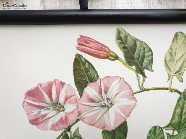 VERKAUFT ! Lehrkarte 