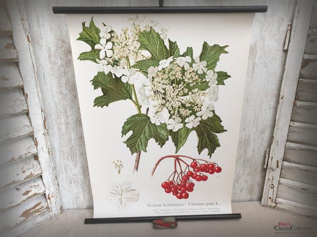 VERKAUFT ! Lehrkarte 