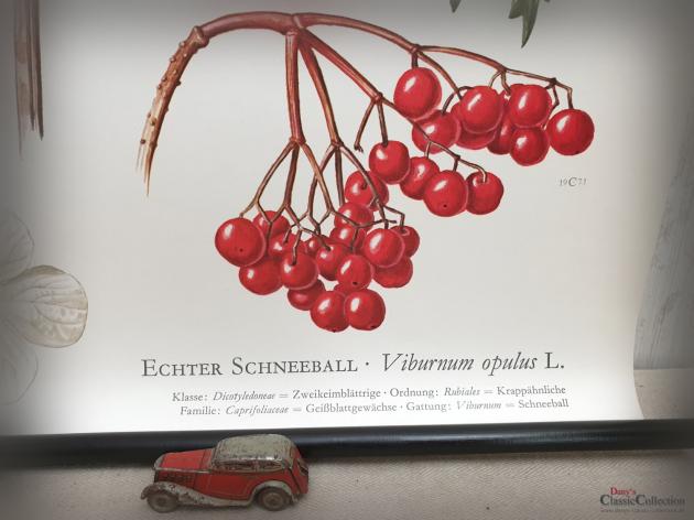 VERKAUFT ! Lehrkarte 