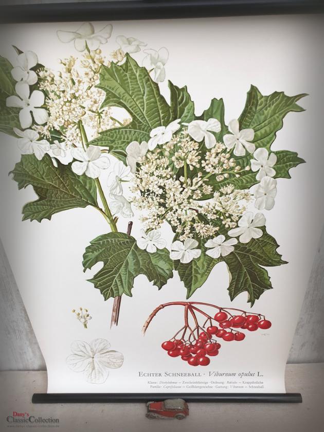 VERKAUFT ! Lehrkarte 